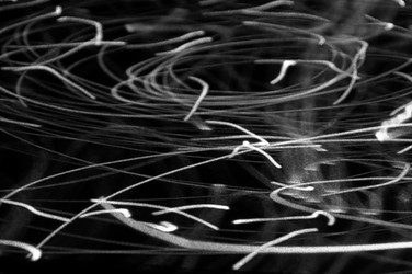 Similar image 1717285