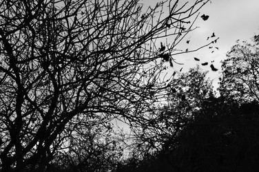 Similar image 1717288