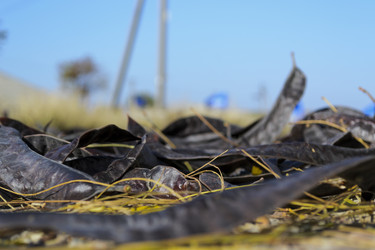 Similar image 1717321