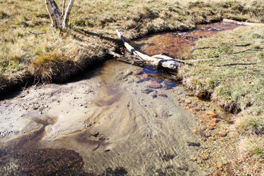 Similar image 1717366