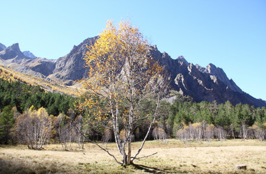 Similar image 1717367