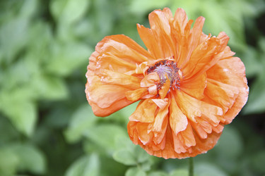 Similar image 1717368