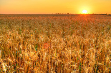 Similar image 1717383