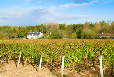 Similar image 1717384