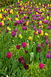 Similar image 1717385