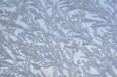 Similar image 1717599