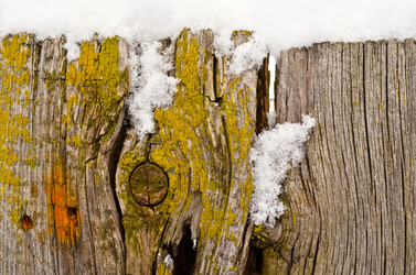 Similar image 1717643