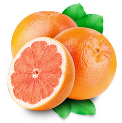 Similar image 1717645