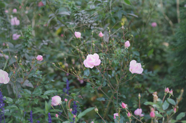 Similar image 1717676