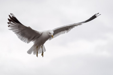 Similar image 1717715