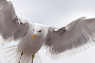 Similar image 1717718