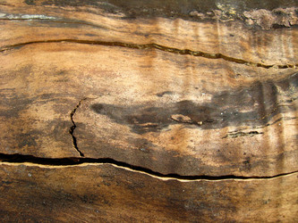 Similar image 1717807