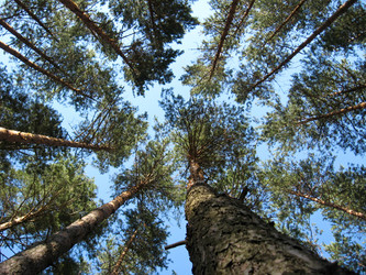 Similar image 1717820