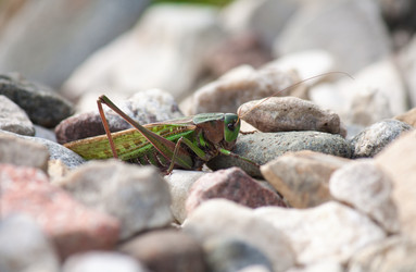 Similar image 1717950