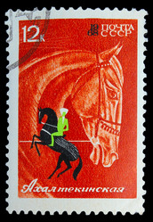 Similar image 1718106