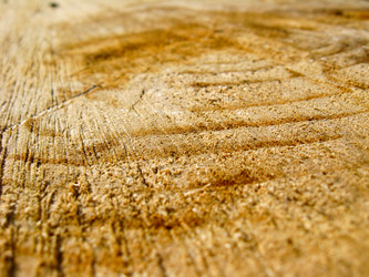 Similar image 1718250