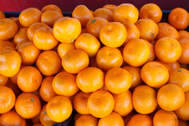 Similar image 1718462