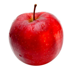 Similar image 1718544