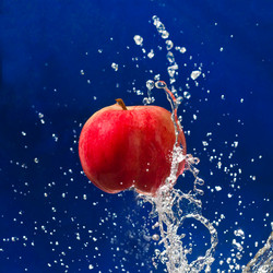 Similar image 1718561