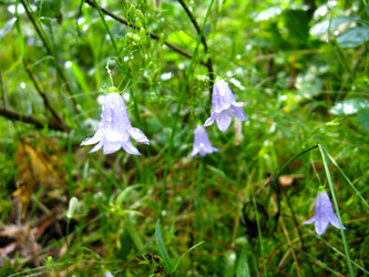 Similar image 1718619