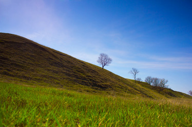 Similar image 1718631