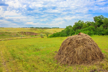 Similar image 1718650