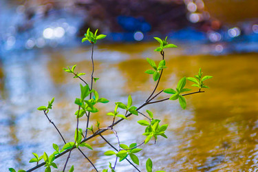 Similar image 1718658