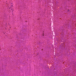 Similar image 1718735