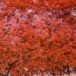 Similar image 1718851