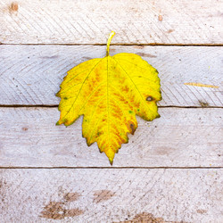 Similar image 1718878