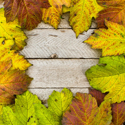 Similar image 1718879