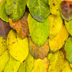 Similar image 1718880