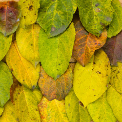 Similar image 1718881