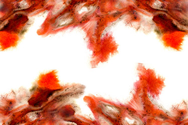 Similar image 1718895