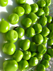 Similar image 1719083