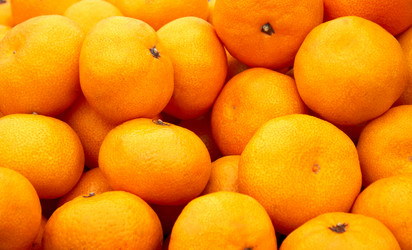 Similar image 1719309