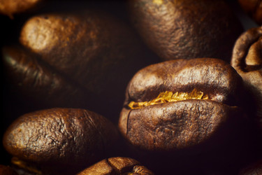 Similar image 1719349