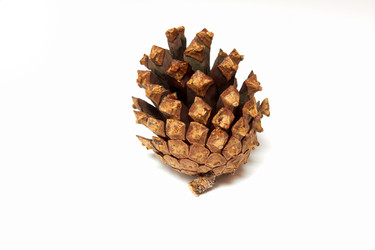 Similar image 1719361