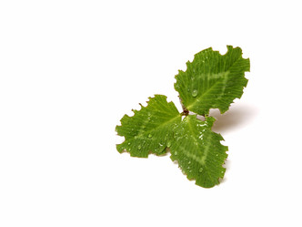 Similar image 1719377