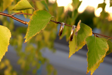 Similar image 1719387