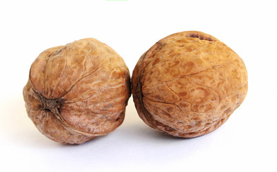 Similar image 1719391