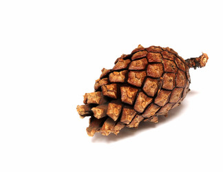 Similar image 1719396