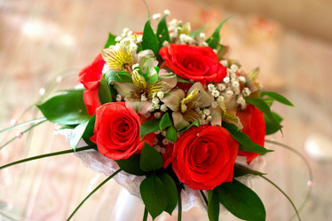 Similar image 1719400