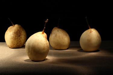 Similar image 1719522