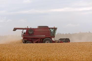 Similar image 1719547