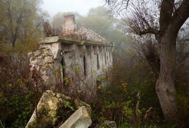 Similar image 1719551