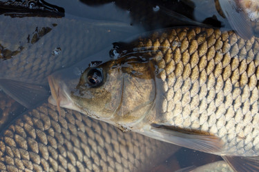 Similar image 1719552