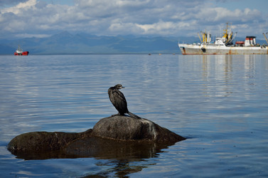 Similar image 1719563