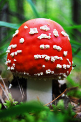 Similar image 1719583