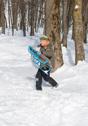 Similar image 1719621